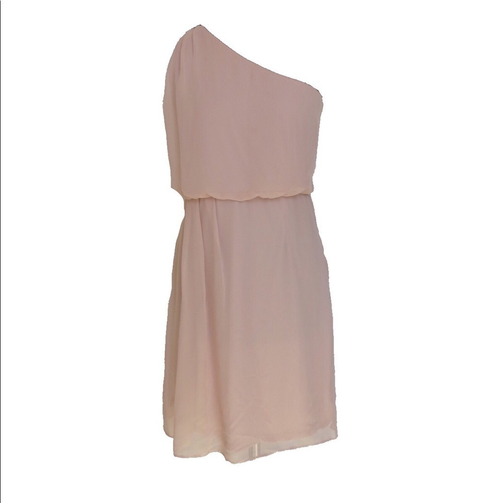 NWT Adrianna x Adrianna Papell Blush Pink One Shoulder Chiffon Dress • Size 6 🔴